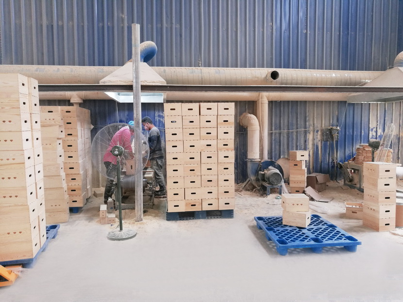 车间展示